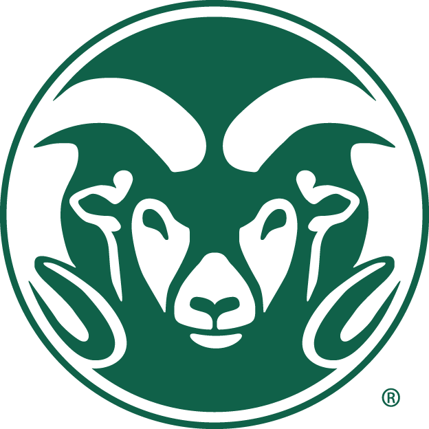 Colorado State Rams 1993-2014 Alternate Logo v2 diy DTF decal sticker